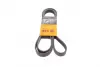 Ремень поликлиновой Conti continental 6PK2077