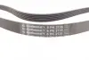 Ремень поликлиновой Conti continental 6PK2135