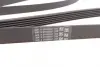 Ремень поликлиновой Conti continental 6PK2135