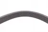 Ремень поликлиновой Conti continental 6PK2135