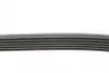 Ремень поликлиновой Conti continental 6PK2150