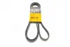 Ремень поликлиновой Conti continental 6PK2150