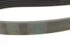 Ремень поликлиновой Conti continental 6 PK 2155