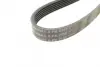Ремень поликлиновой Conti continental 6 PK 2155