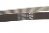 Ремень поликлиновой Conti continental 6 PK 2196