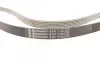 Ремень поликлиновой Conti continental 6 PK 2196