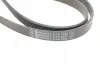 Ремень поликлиновой Conti continental 6PK2280