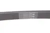 Ремень поликлиновой Conti continental 6 PK 2360