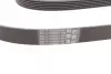 Ремень поликлиновой Conti continental 6PK2404