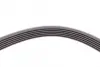 Ремень поликлиновой Conti continental 6PK2404