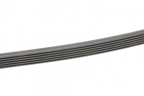 Приводной ремень генератора continental 6PK2445