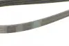 Ремень поликлиновой Conti continental 6PK2445