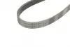 Ремень поликлиновой Conti continental 6PK2445
