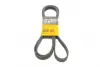 Ремень поликлиновой Conti continental 6PK2445