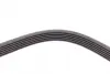 Ремень поликлиновой Conti continental 6PK2510