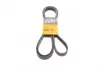 Ремень поликлиновой Conti continental 6PK2510