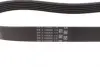 Ремень поликлиновой Conti continental 6 PK 831 ELAST