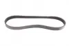 Ремень поликлиновой Conti continental 6 PK 831 ELAST