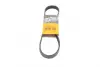 Ремень поликлиновой Conti continental 6 PK 831 ELAST