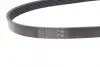 Ремень поликлиновой Conti continental 6 PK 842 ELAST