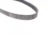 Ремень поликлиновой Conti continental 6 PK 842 ELAST