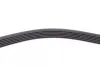 Ремень поликлиновой Conti continental 6 PK 842 ELAST