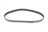 Ремень поликлиновой Conti continental 6 PK 842 ELAST