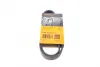Ремень поликлиновой Conti continental 6 PK 842 ELAST