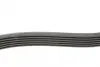 Ремень поликлиновой Conti continental 6 PK 850