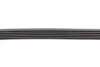 Ремень поликлиновой Conti continental 6 PK 869