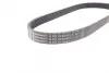 Ремень поликлиновой Conti continental 6PK873ELAST