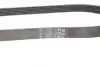 Ремень поликлиновой Conti continental 6PK873ELAST