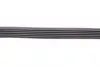 Ремень поликлиновой Conti continental 6PK873ELAST