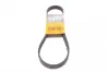 Ремень поликлиновой Conti continental 6PK873ELAST