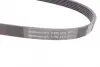 Ремень поликлиновой Conti continental 6PK875