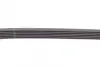 Ремень поликлиновой Conti continental 6PK875