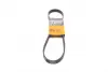 Ремень поликлиновой Conti continental 6PK875