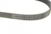 Ремень поликлиновой Conti continental 6 PK 935