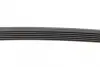 Ремень поликлиновой Conti continental 6 PK 970