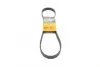 Ремень поликлиновой Conti continental 6 PK 970