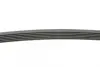Ремень поликлиновой Conti continental 6 PK 976