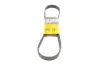 Ремень поликлиновой Conti continental 6 PK 976