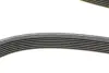 Ремень поликлиновой Conti continental 7 DPK 2074