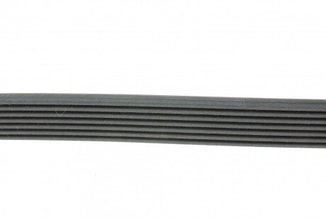 Привідний ремінь генератора continental 7DPK2880