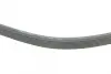 Ремень поликлиновой Conti continental 7DPK2880