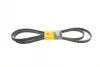 Ремень поликлиновой Conti continental 7DPK2880