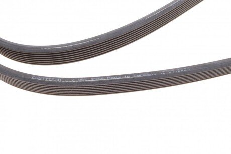 Привідний ремінь генератора continental 7DPK2950