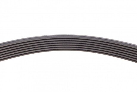 Привідний ремінь генератора continental 7DPK2950