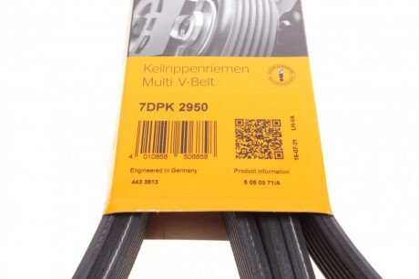 Привідний ремінь генератора continental 7DPK2950