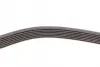 Ремень поликлиновой Conti continental 7PK1104